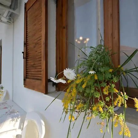 Relaxing Experiences Near Ancient Olympia *