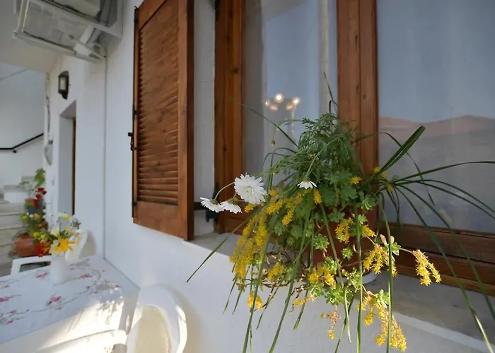 Relaxing Experiences Near Ancient Olympia *